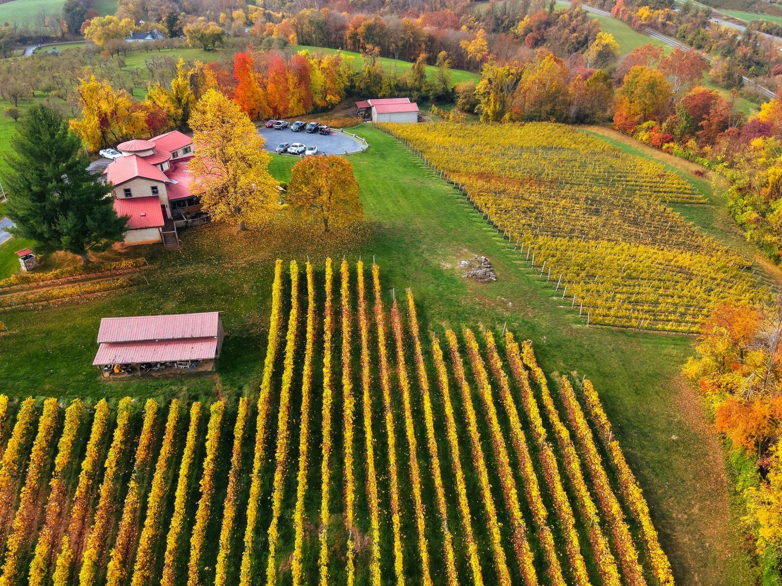 Property Photo:  3238 Railstop Road  VA 22643 