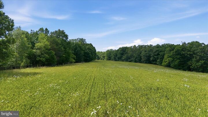 Property Photo: Posey Hollow WV 25411
