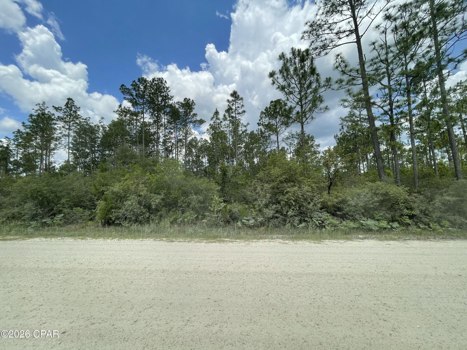 Property Photo:  000B NW Lake Lillian Avenue  FL 32438 