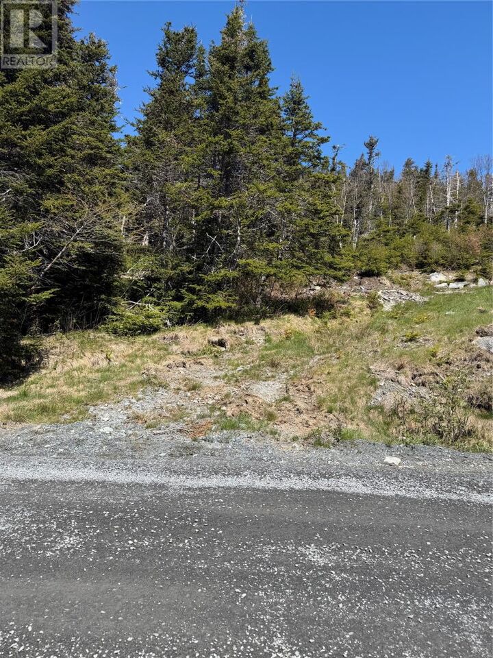 Property Photo:  0 Lamanche Road  NL A0A 4A0 