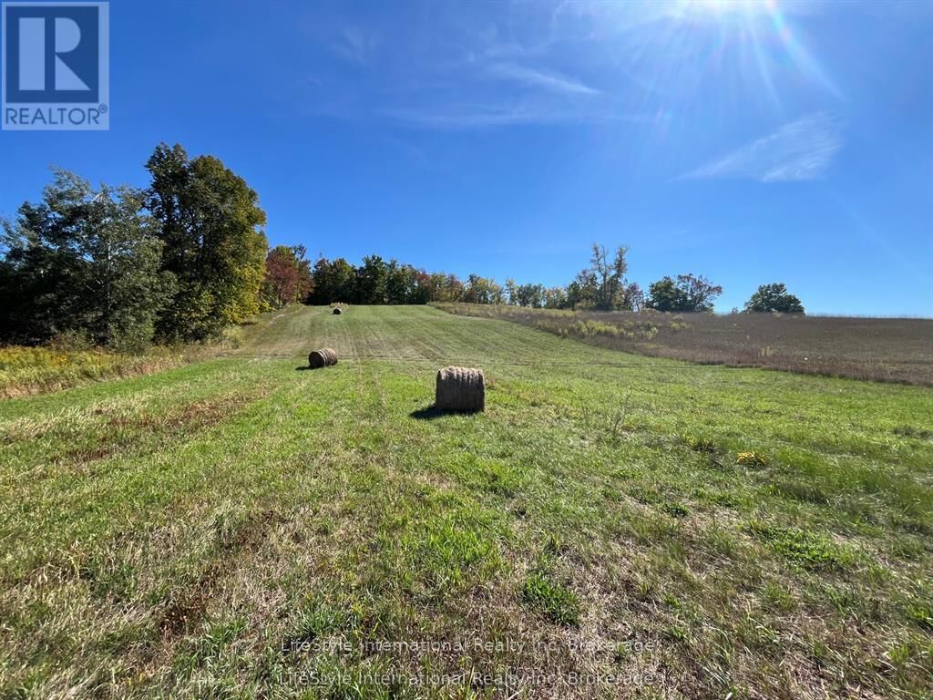 Property Photo:  213 Vansickle Road  ON K0L 1Z0 