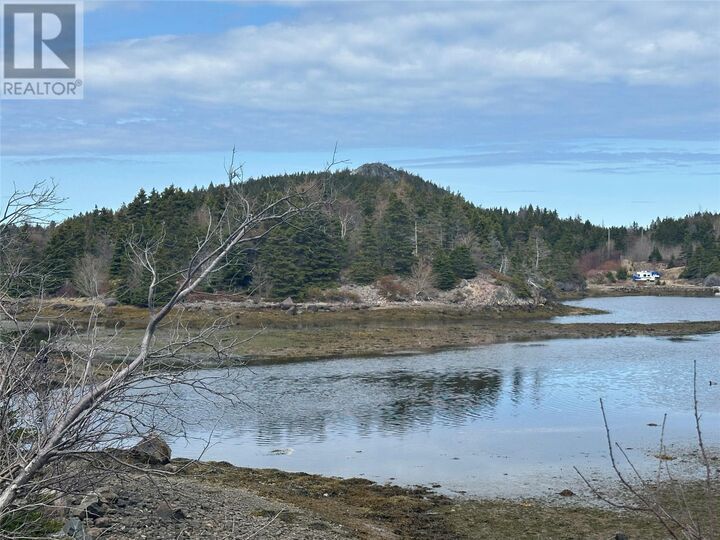 Property Photo:  12-16 Back Cove Road  NL A0A 1B0 