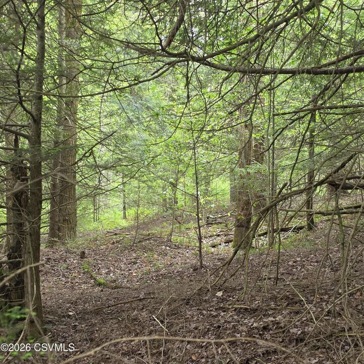 Property Photo: Lot 9 Deep Hollow Run PA 17758
