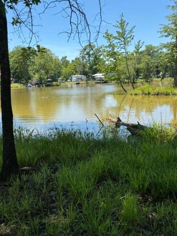 Property Photo: Lot 5 Nickles Cove AL 35959