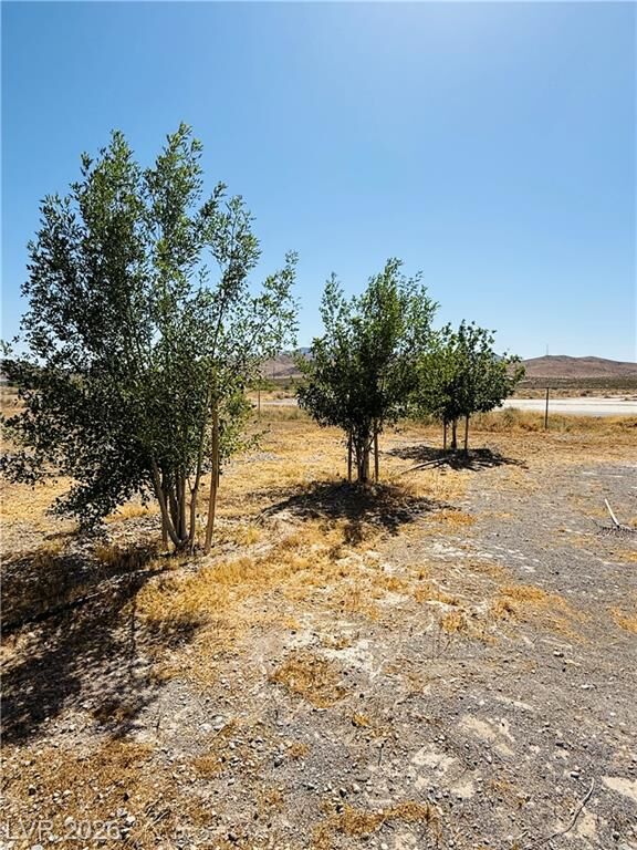 Property Photo:  931 South Warren Street  NV 89048 