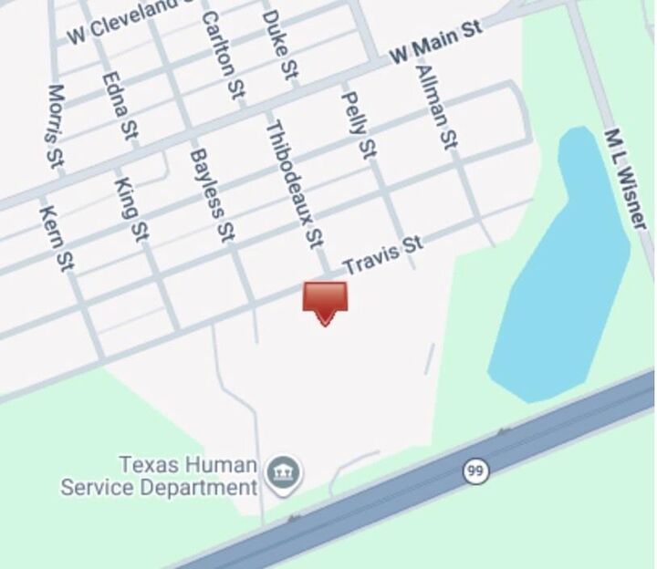 Property Photo:  411 Travis Street  TX 77520 