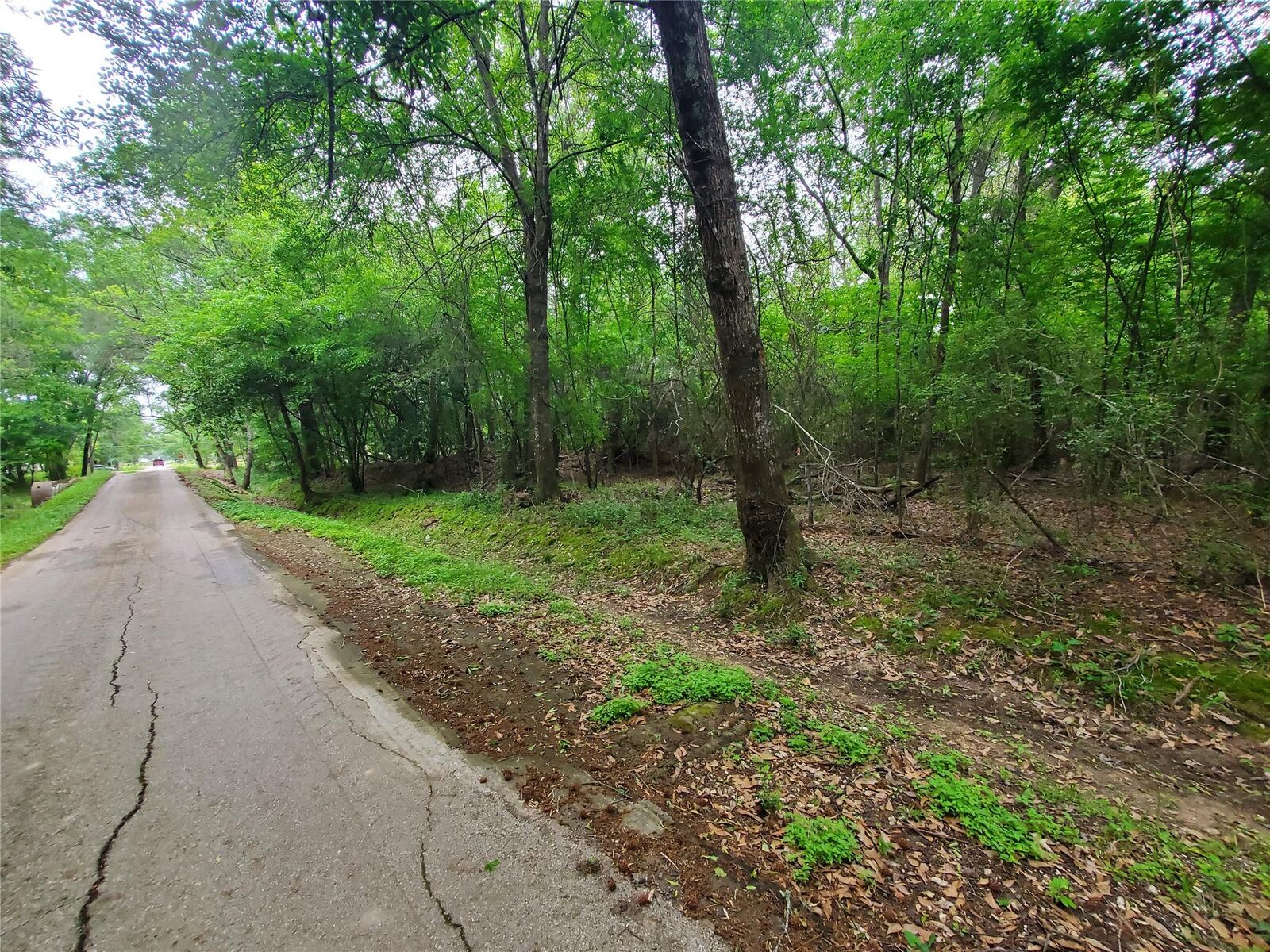 Property Photo: 246 Countyroad 3990 TX 77328