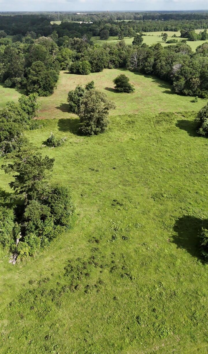 Property Photo:  873 Jones Road  TX 77358 