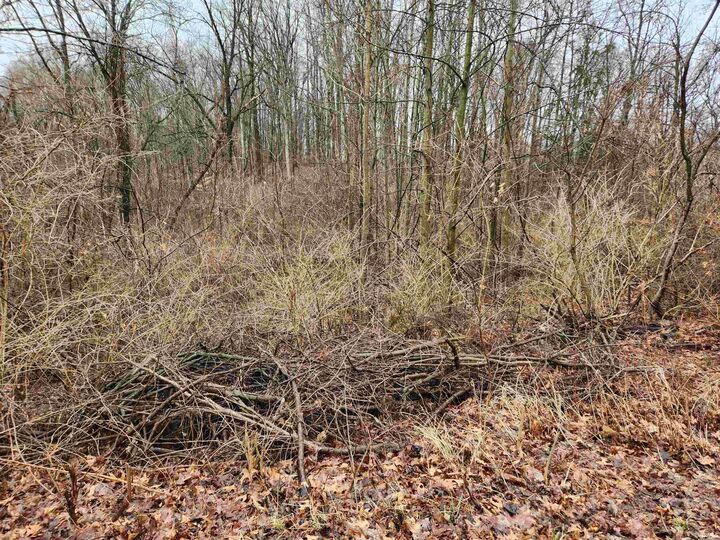 Property Photo: Tbd E Koher Rd #9 IN 46567