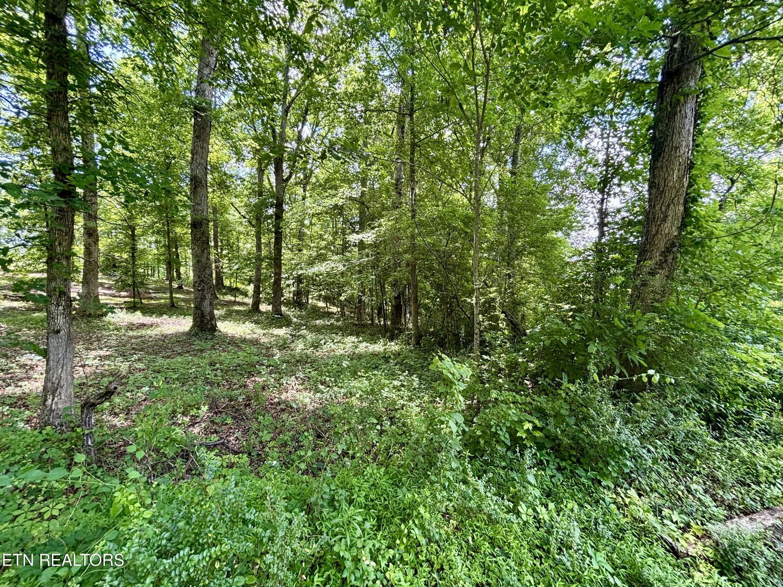 Property Photo: 0 Rolling Acres Drive TN 37854