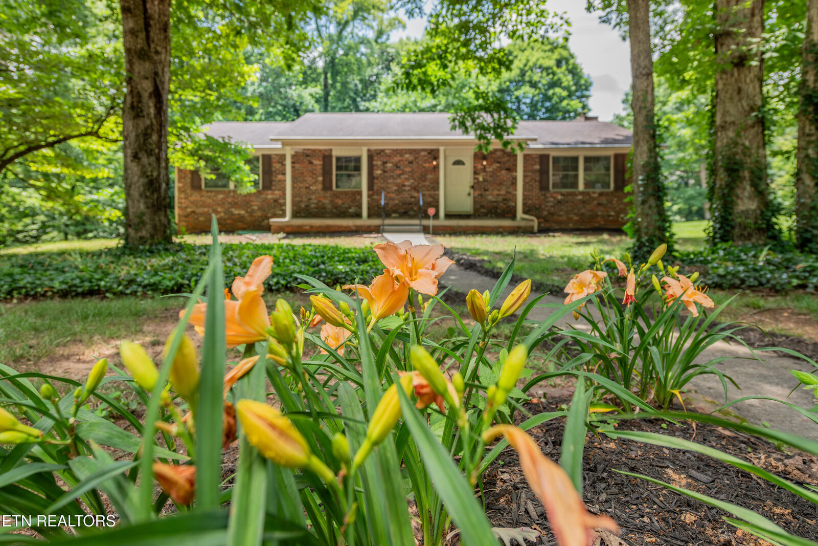 Property Photo: 1105 Delray Rd TN 37923