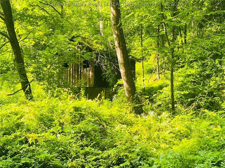 Property Photo:  0 Starchers Fork Road  WV 25276 