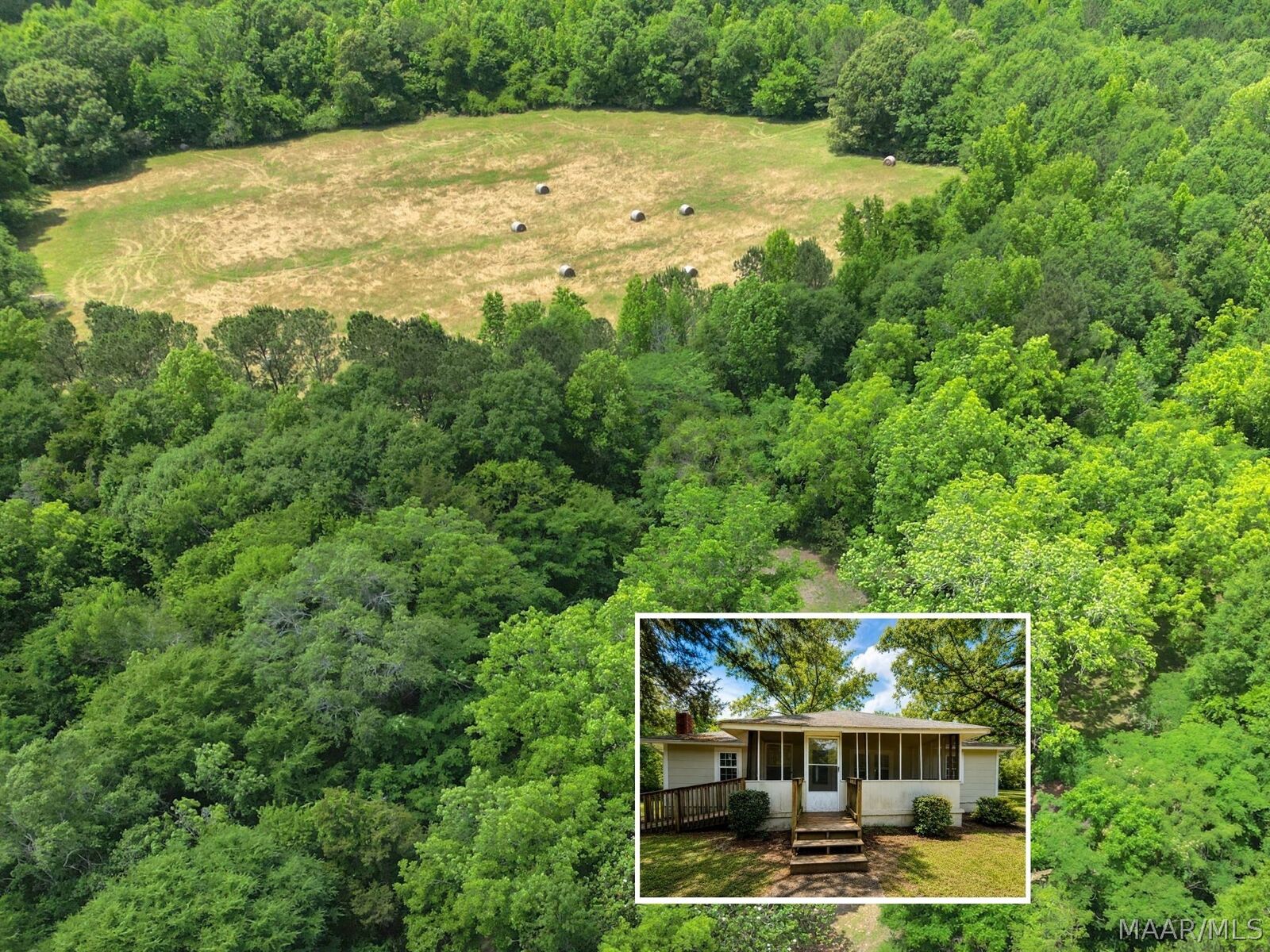 Property Photo:  503 Hopewell Cemetery Road  AL 36042 