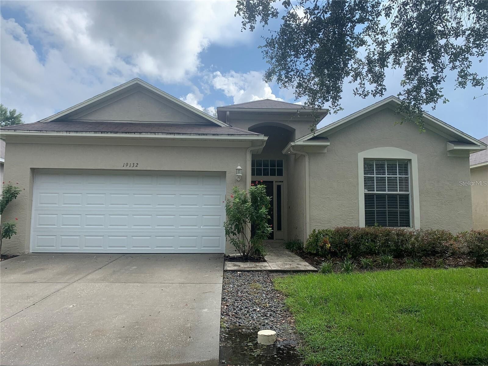 Property Photo:  19132 Wood Sage Drive  FL 33647 