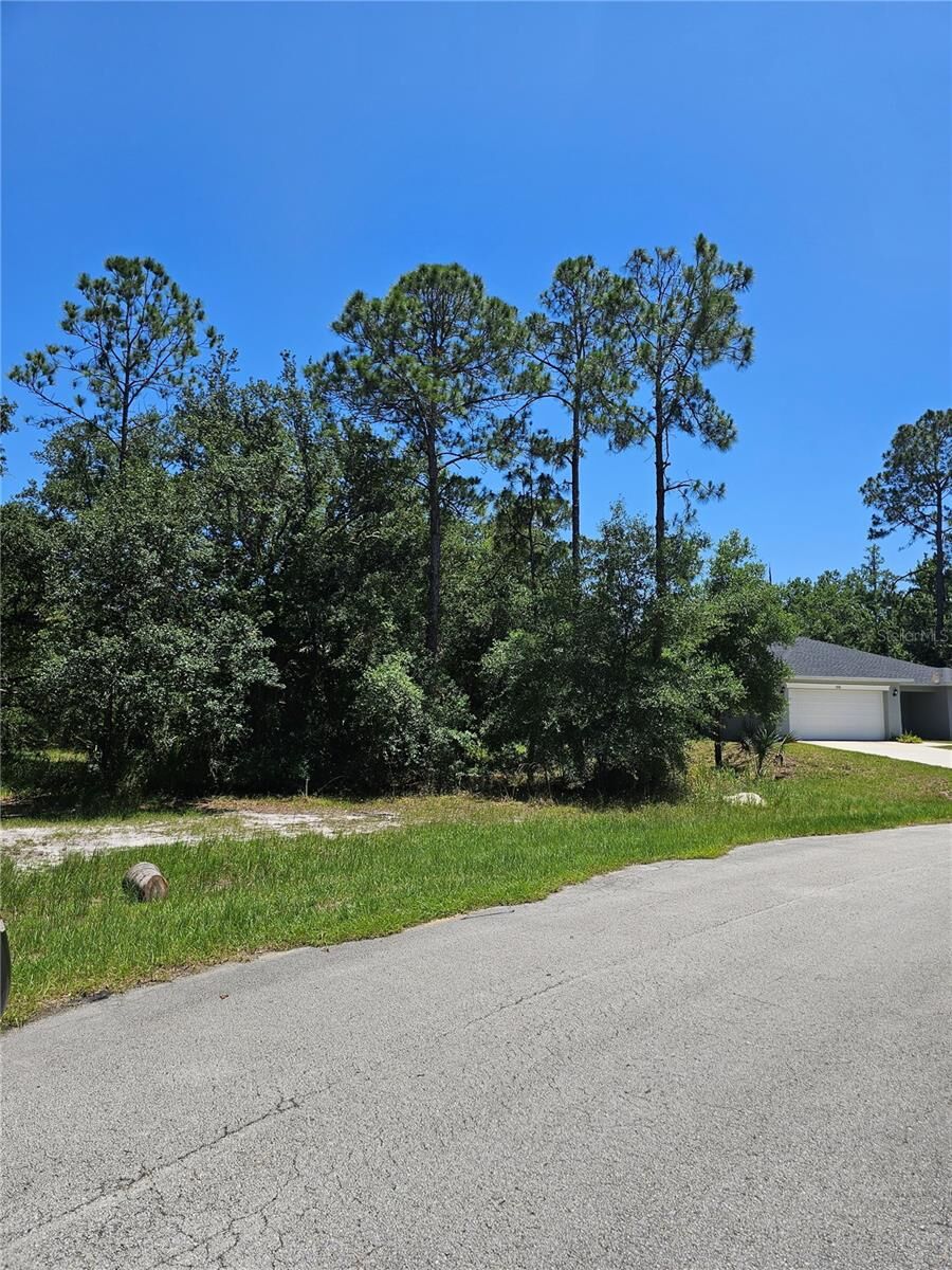 Property Photo: 223 Starling Court FL 34759