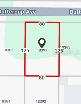 Property Photo: 18391 Buttercup Avenue FL 33954