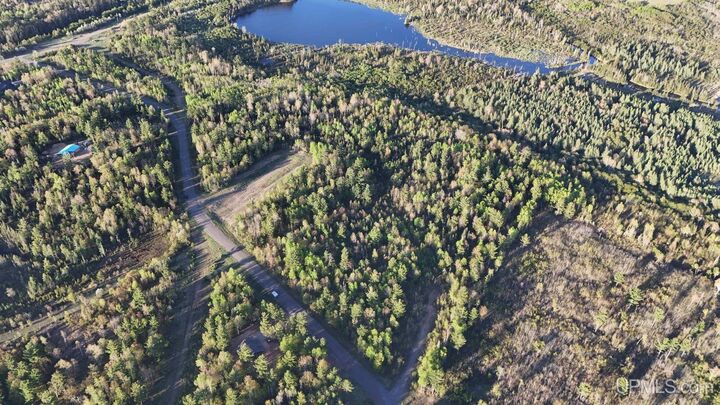 Property Photo: Lot 12 Carp Creek Drive MI 49849