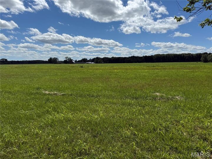Property Photo: Tbd West Fellin Drive IL 62069
