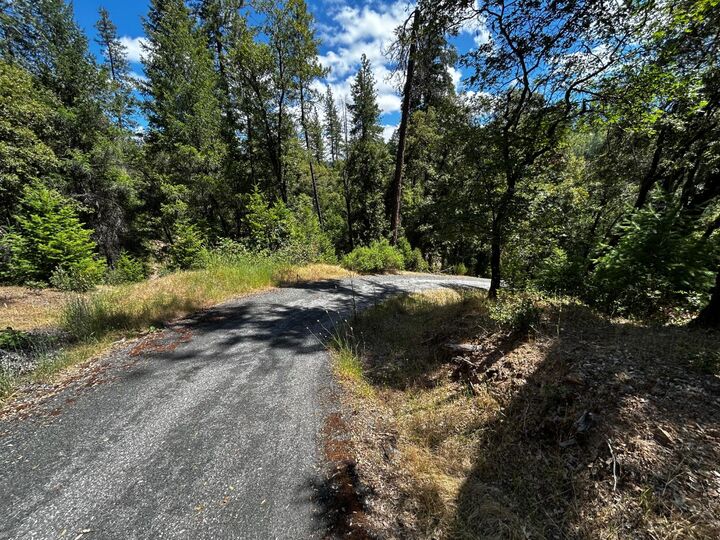 Property Photo:  12226 Pine Cone Circle  CA 95945 