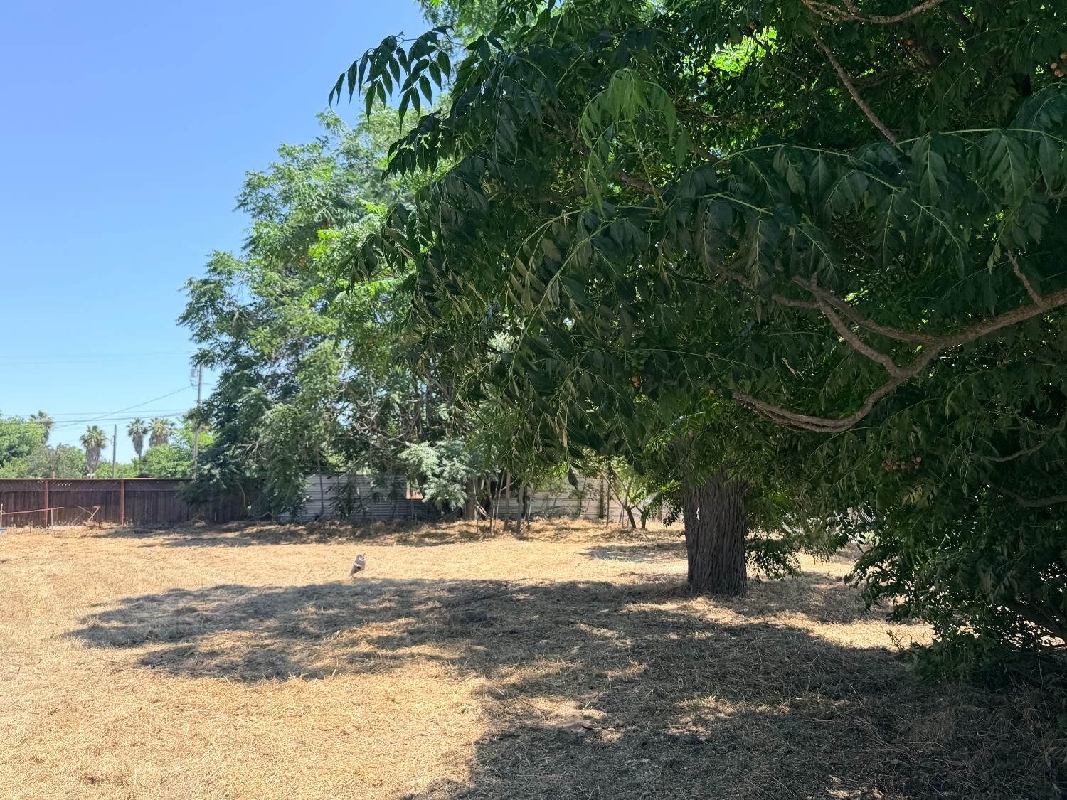 Property Photo: 228 H Street CA 95380
