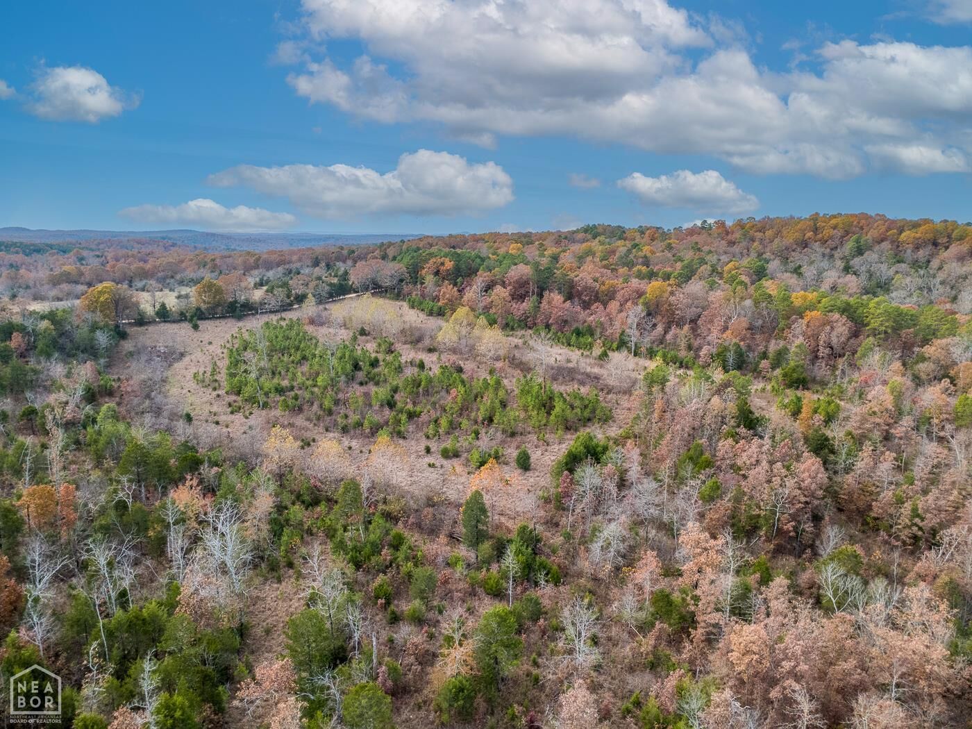 Property Photo: 0 Kerley Point Cove Road AR 72531