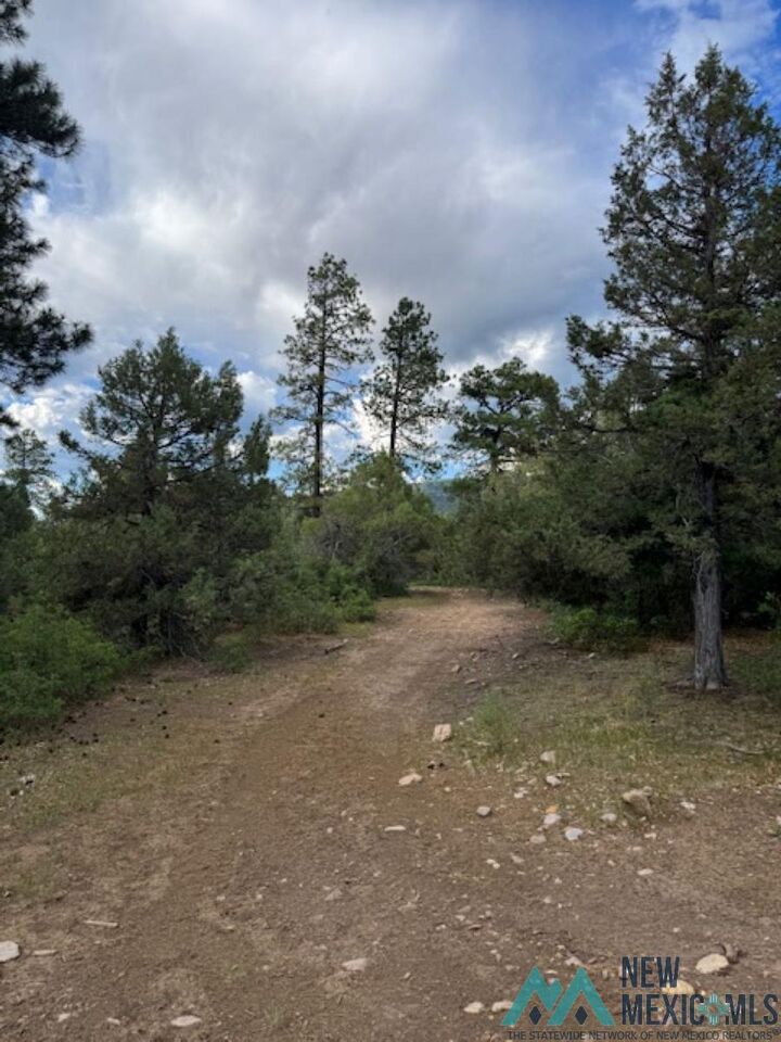 Property Photo:  Tbd Log Ridge Trail Trail  NM 87520 