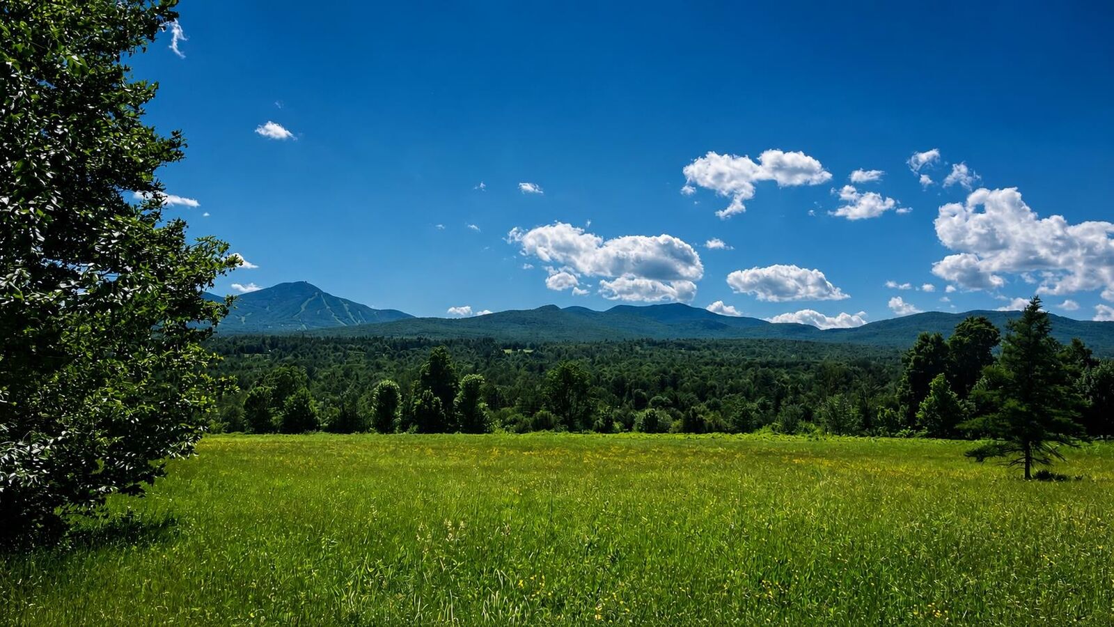 Property Photo: 237 Loop Road VT 05859