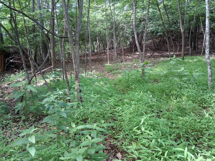 Property Photo: Tbd Frazier Rd Road VA 24141