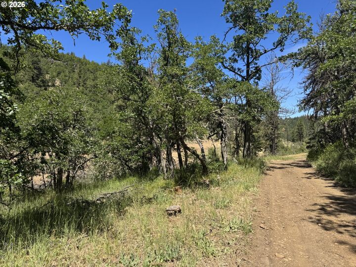 Property Photo:  Toad Rd  WA 98620 