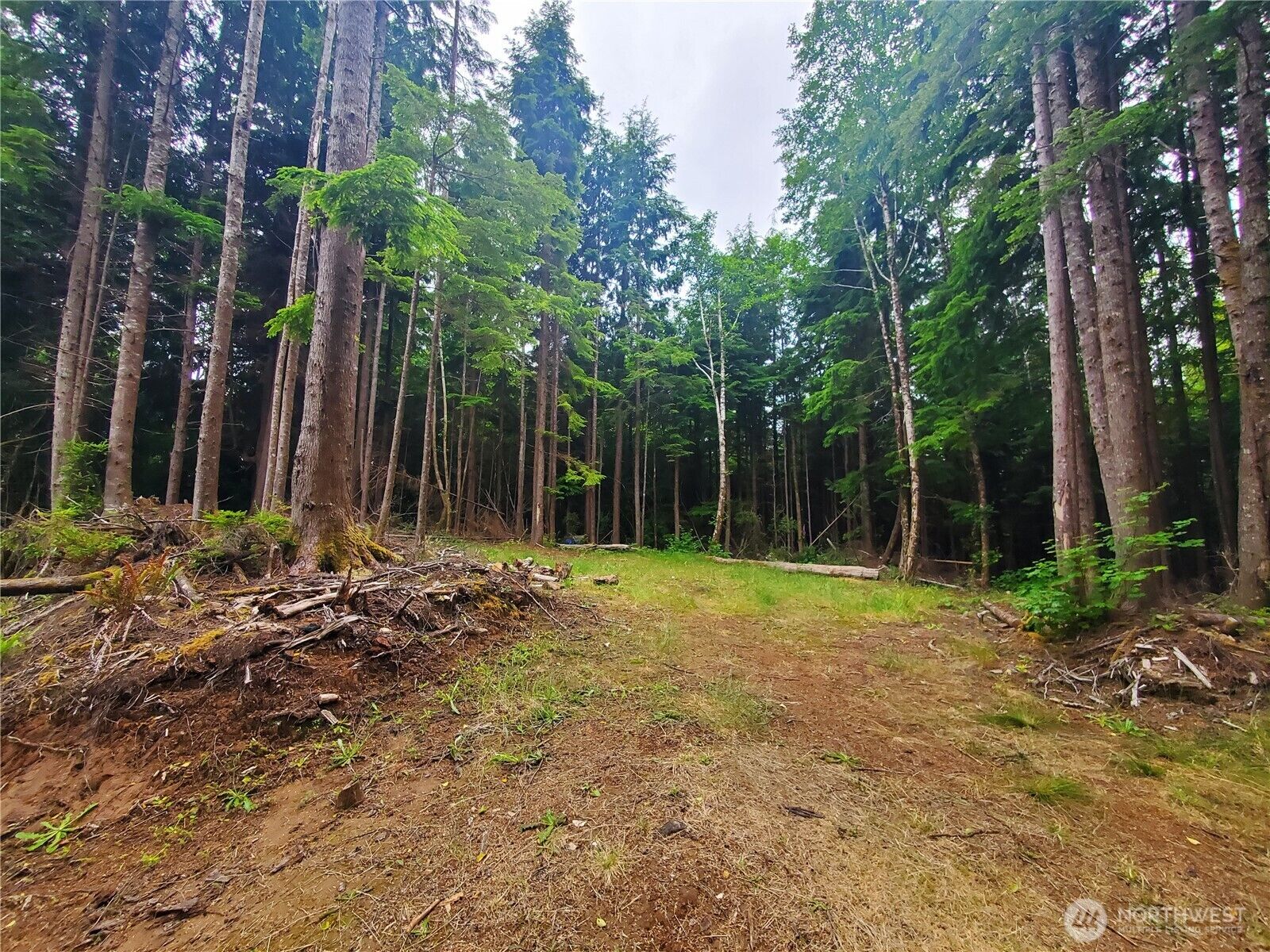 Property Photo: 46 A North Shore Place WA 98550