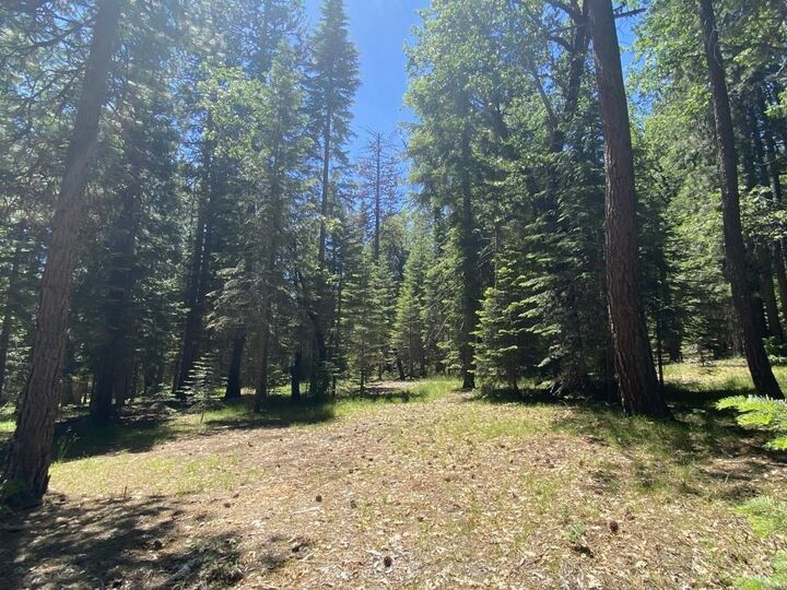 Property Photo: 3-E-29 Red Fir Rd CA 96057