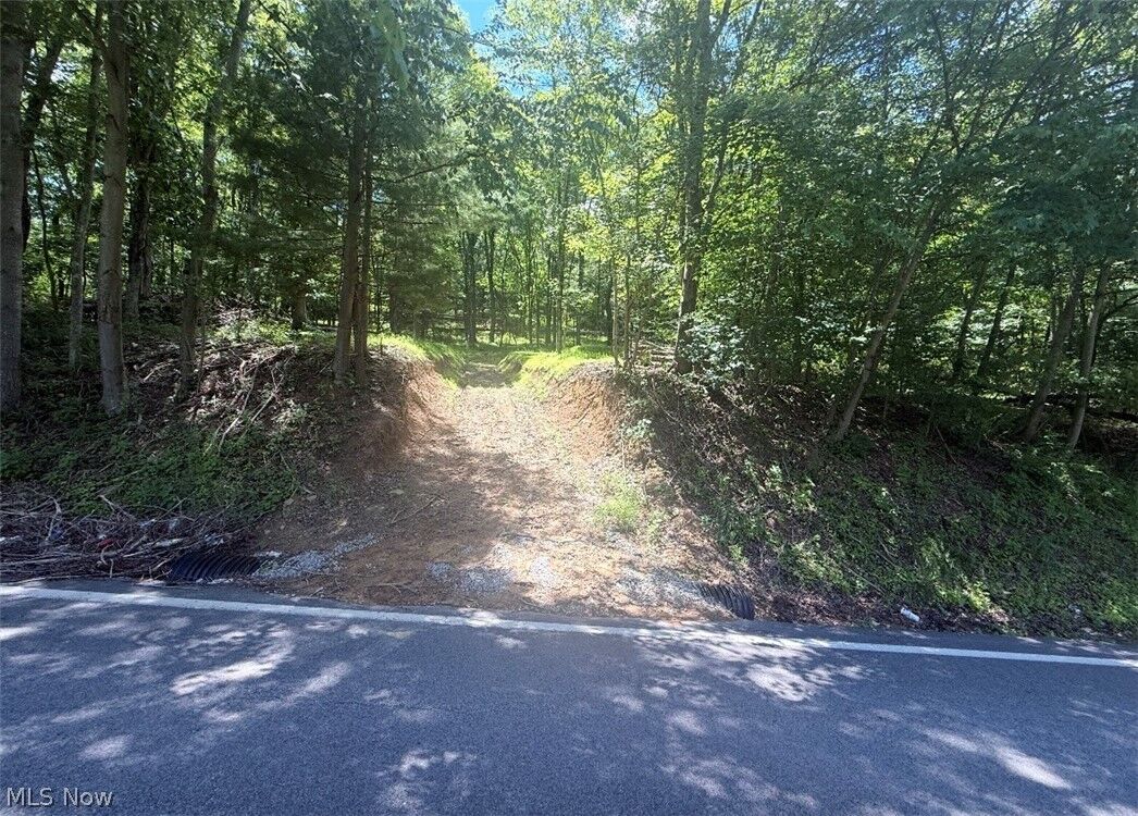 Property Photo:  Hardins Run Road  WV 26047 
