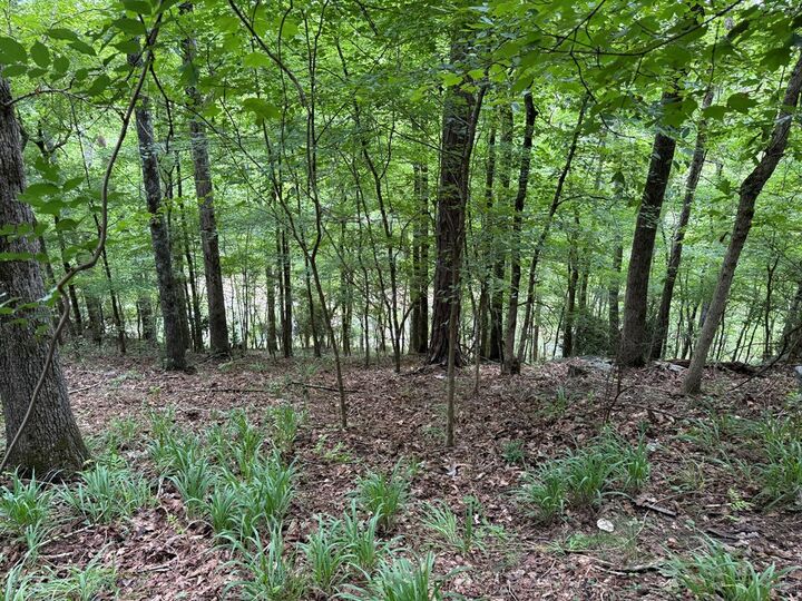 Property Photo:  555 Mountain Brook Road  GA 31808 