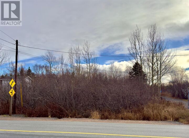 Property Photo:  298 Trinity Drive  NL A5A 0L5 