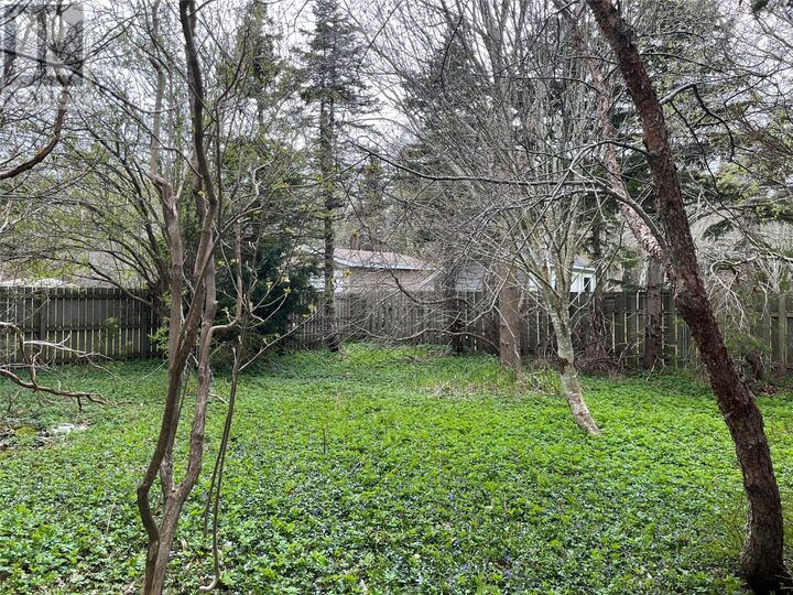 Property Photo:  72 Fox Avenue  NL A1B 2J2 