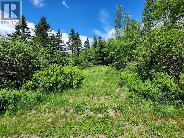 Property Photo:  Lot Old Albert Mines  NB E4H 1S1 