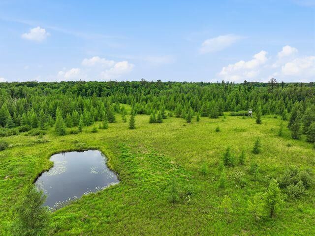 Property Photo:  00 Holst Road  WI 54466 
