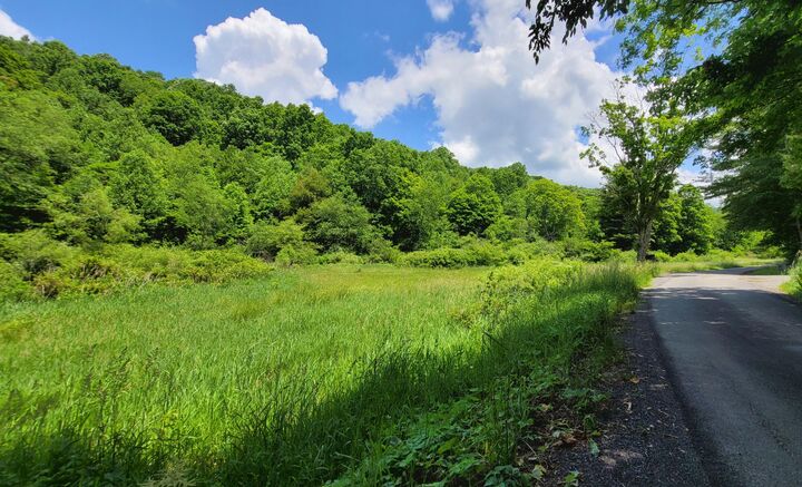 Property Photo: 333 Fleshman Hollow Rd WV 25962