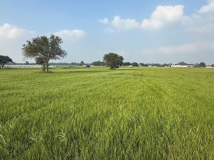 Property Photo: 3211 Pearce Drive TX 77583