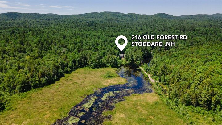Property Photo:  216 Old Forest Road  NH 03464 