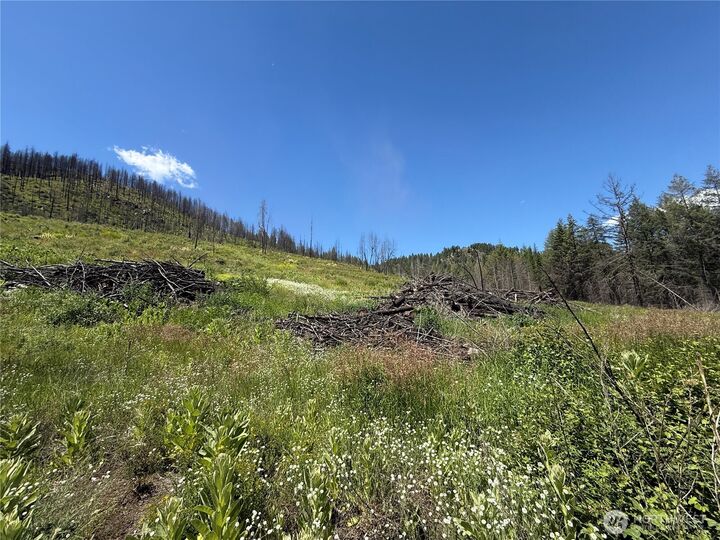 Property Photo:  0 Lot 32  4th Of July Creek Road  WA 99121 