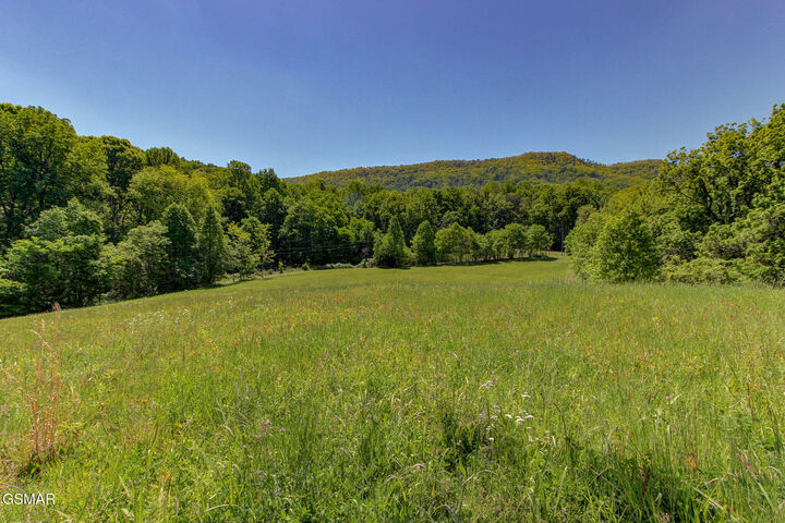Property Photo:  Lots 1-6R Thomas Cross Road  TN 37876 
