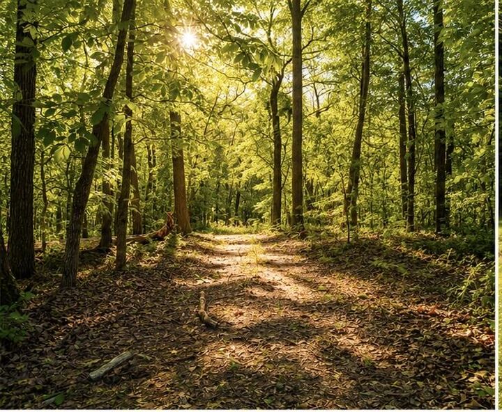 Property Photo:  1029 Bear Hollow Road  MO 64856 