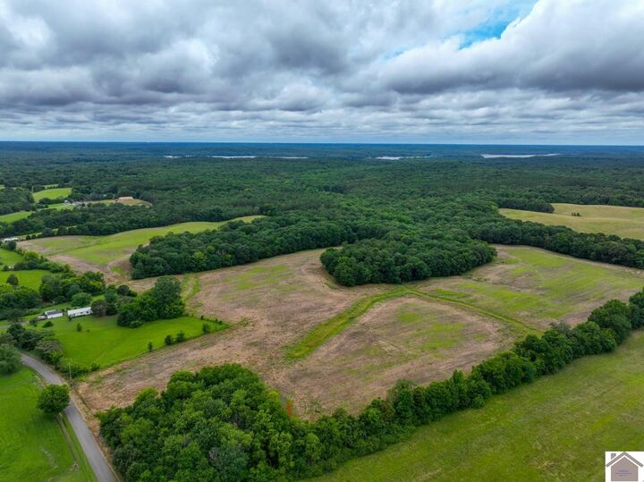 Property Photo: 000 Buffalo Road (Calloway Co. Ky 83.9518) KY 42076