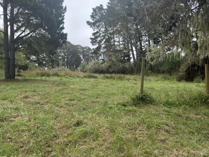 Property Photo:  241 A Alder Road  CA 94924 