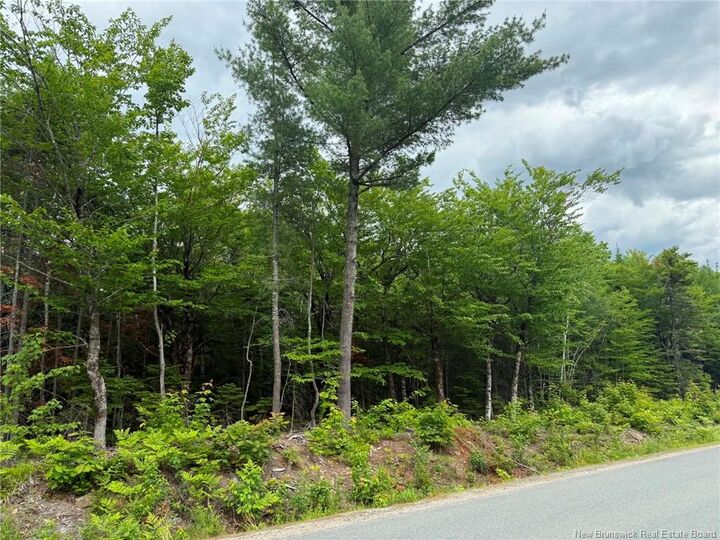 Lot 4 Hansen Road — photo 1