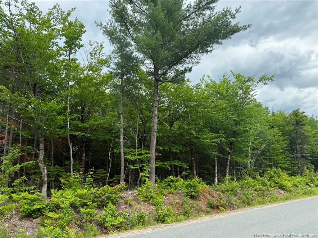 Property Photo:  Lot 4 Hansen Road  NB E1V 3M2 