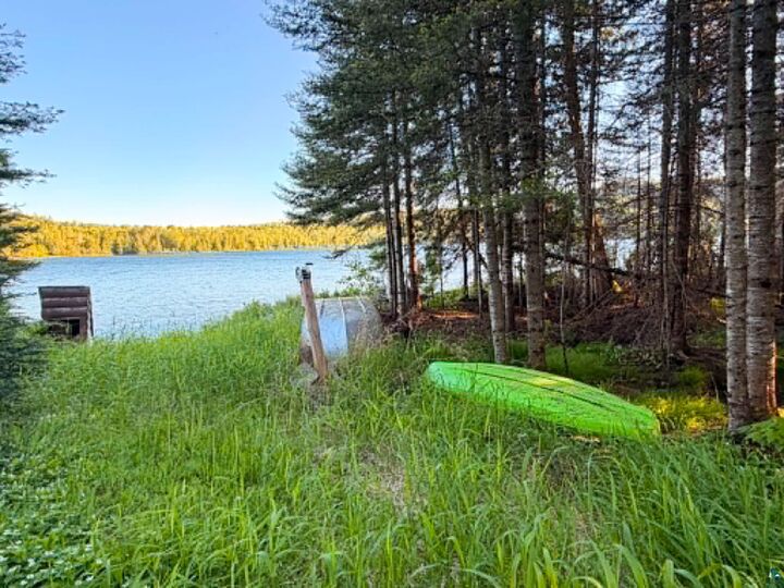 Property Photo:  2X Ary Point Rd  MN 55606 