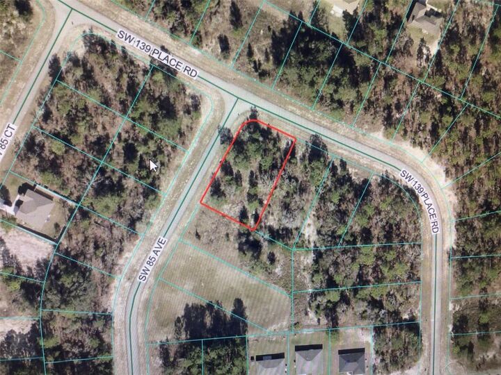 Property Photo: 0 SW 139 Place Road FL 34473
