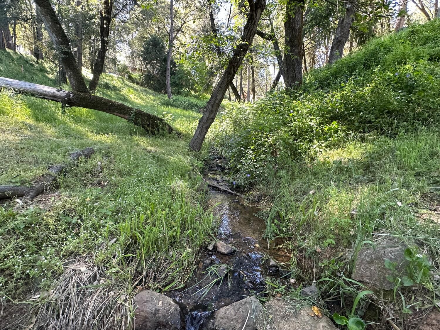 Property Photo: 15340 Brewer Road CA 95949